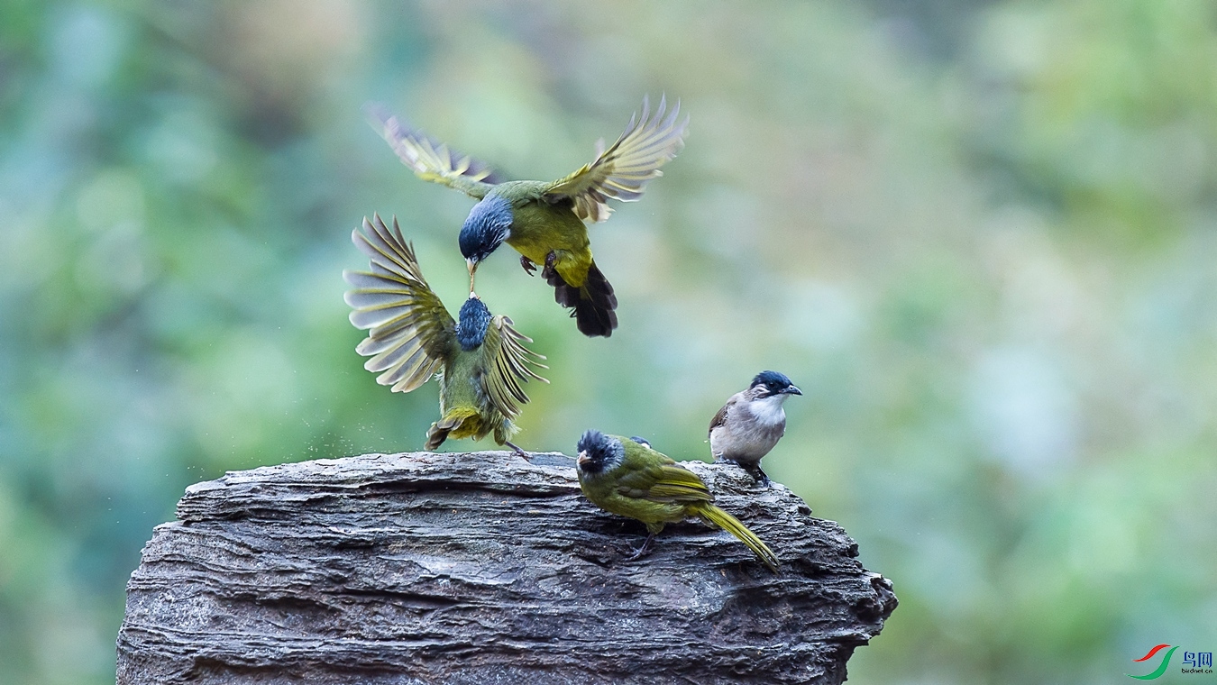 XCG_6674 - ����.jpg