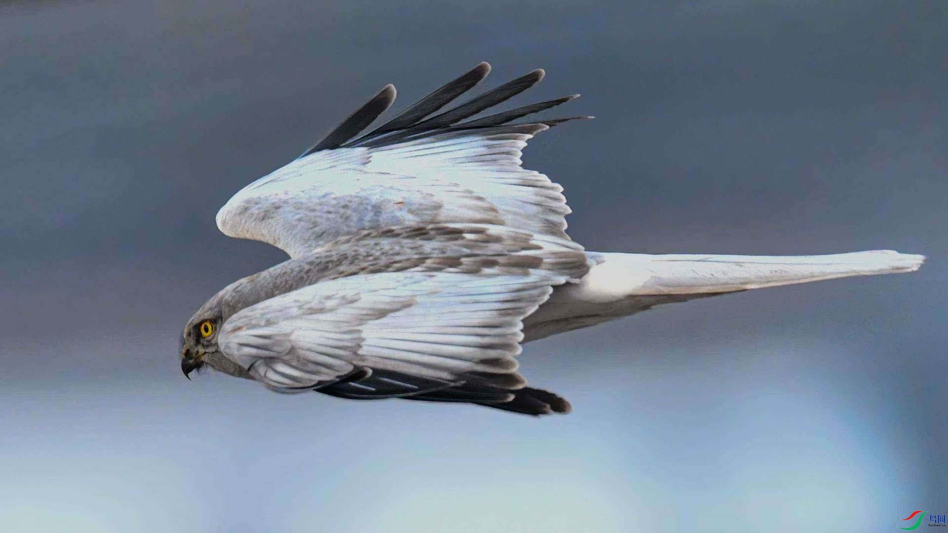 W66_0470 ���� 2.jpg