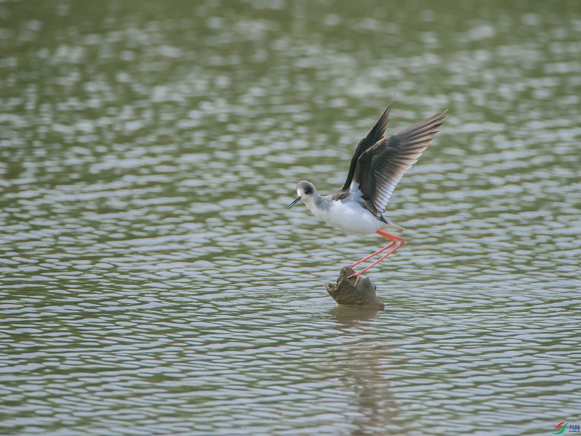 �\�᳤����