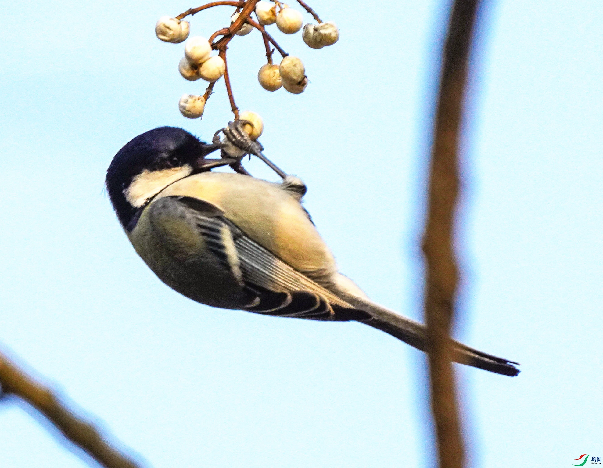 0121DSC06641_1_����.jpg