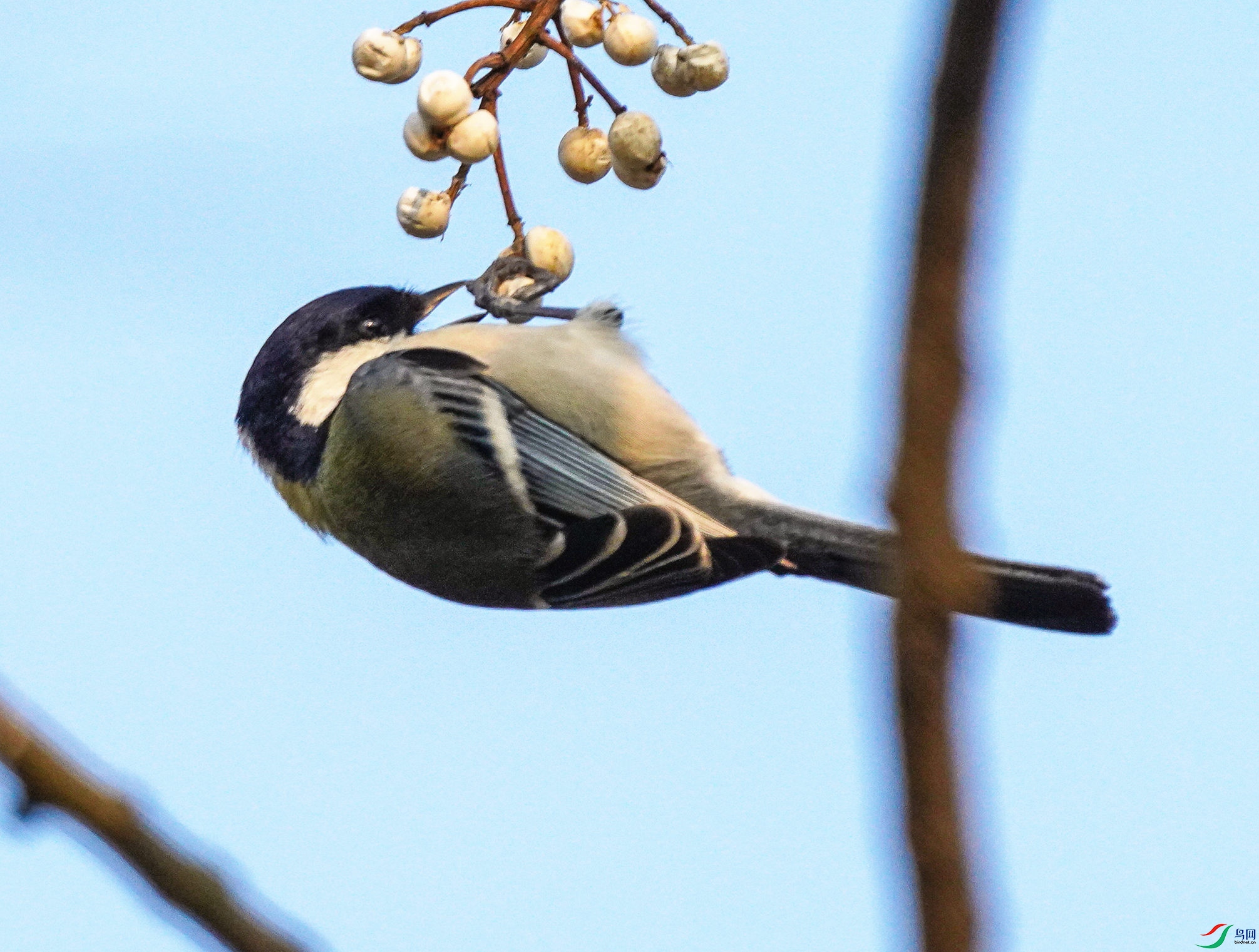 0126DSC06670_1_����.jpg
