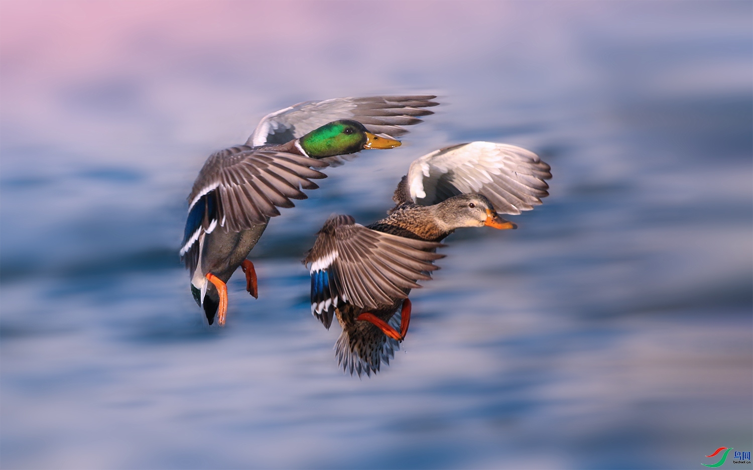 210558hbjzwtkgggztj2ej (1).jpg