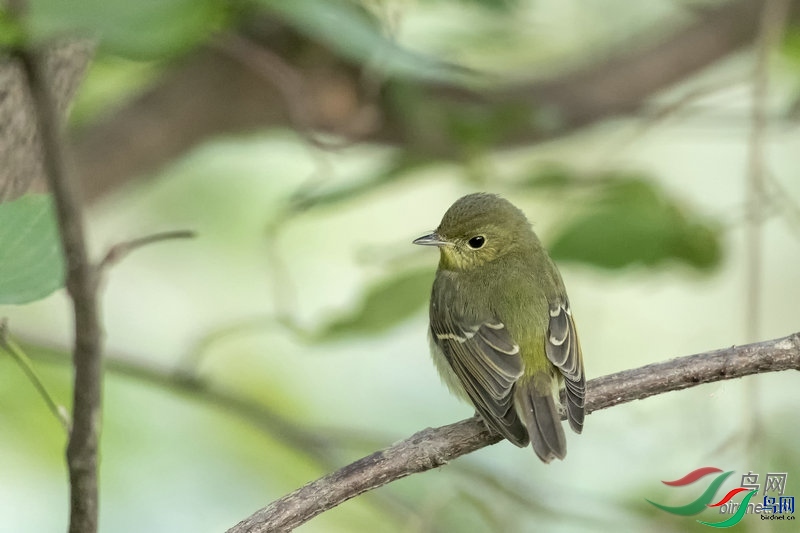 �������  ��ʦ�����ڱ����ж�����.jpg