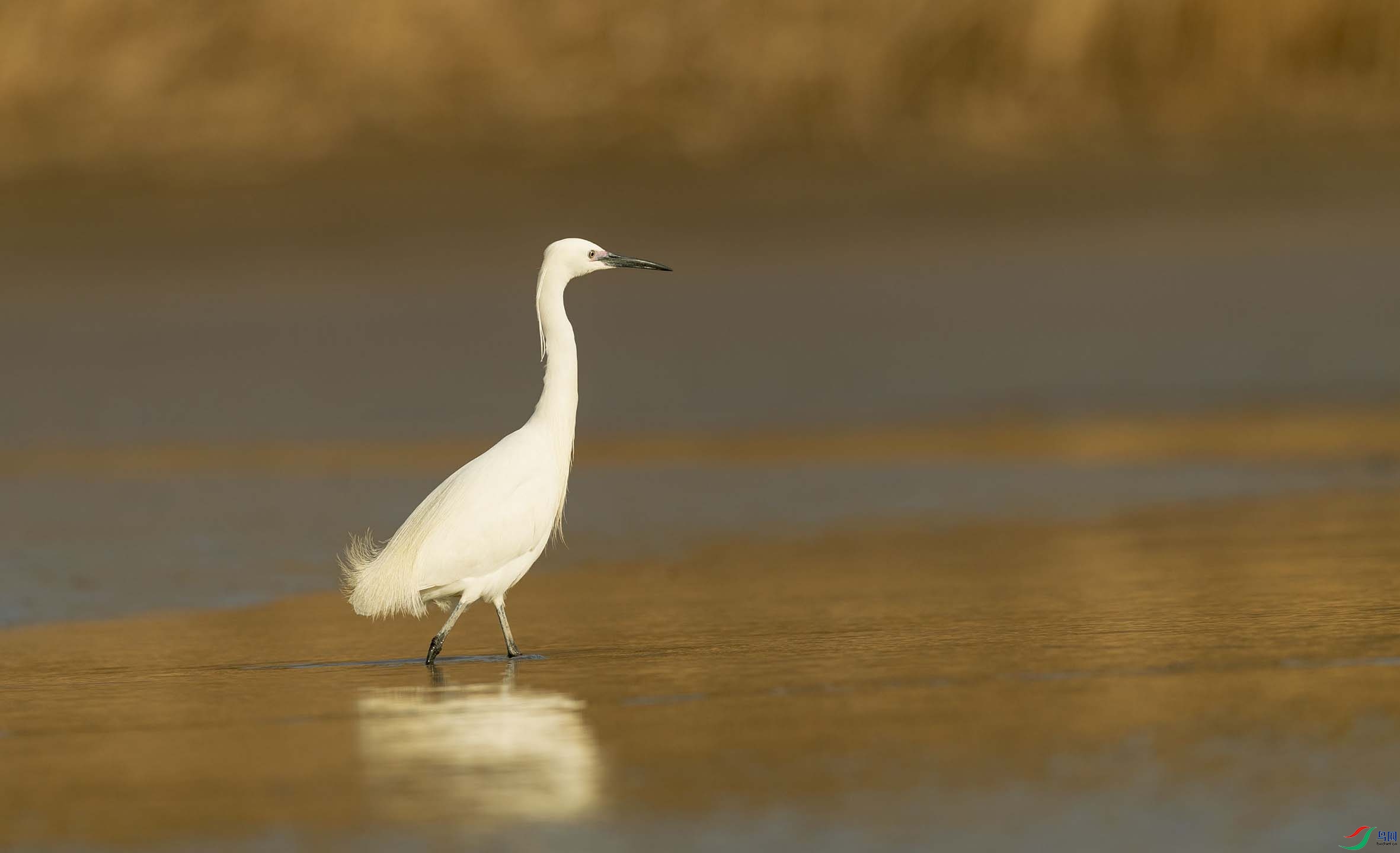 DSC_3976-2 - ���� (2).jpg