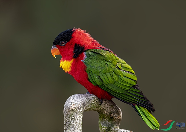 _GZ38191 ���� 2.jpg