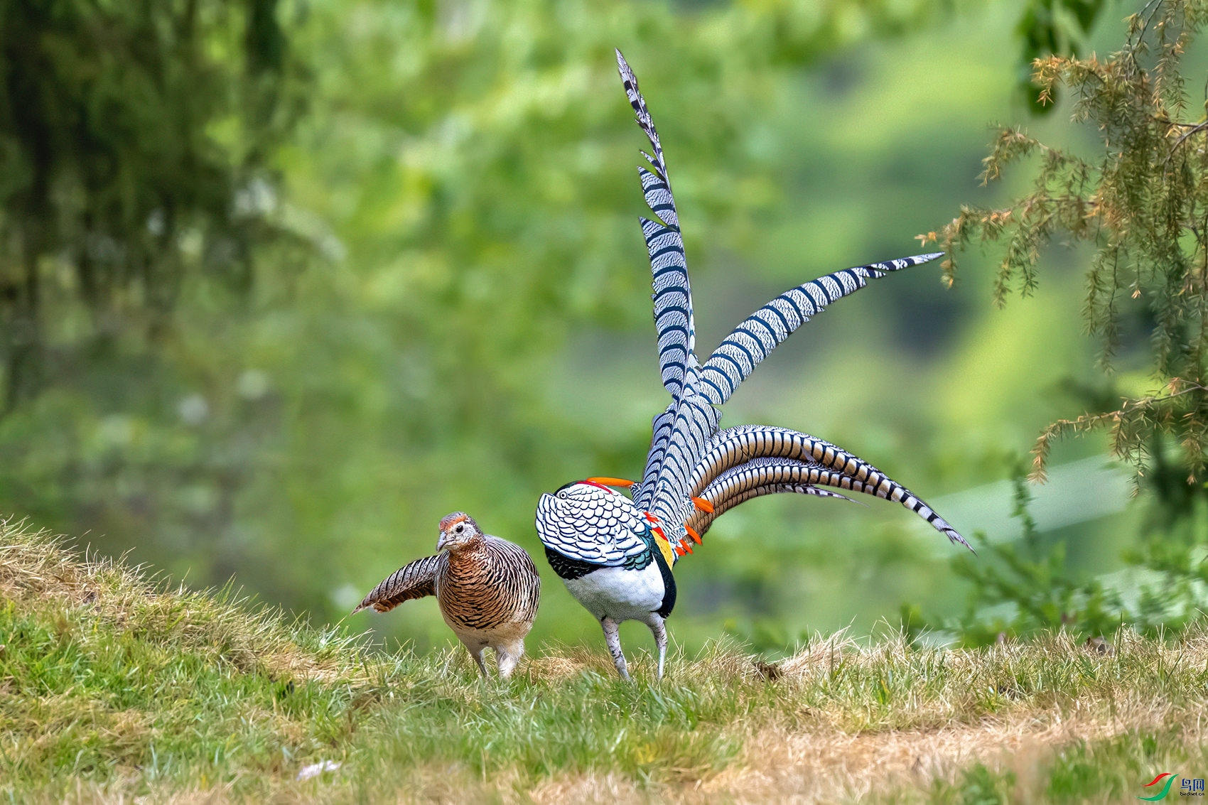 DSC_9340 ����_����.jpg