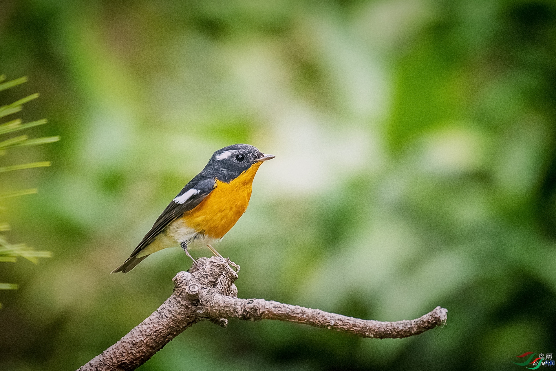 lhx666 ��ʦ�����ڽ���ʡ������.jpg