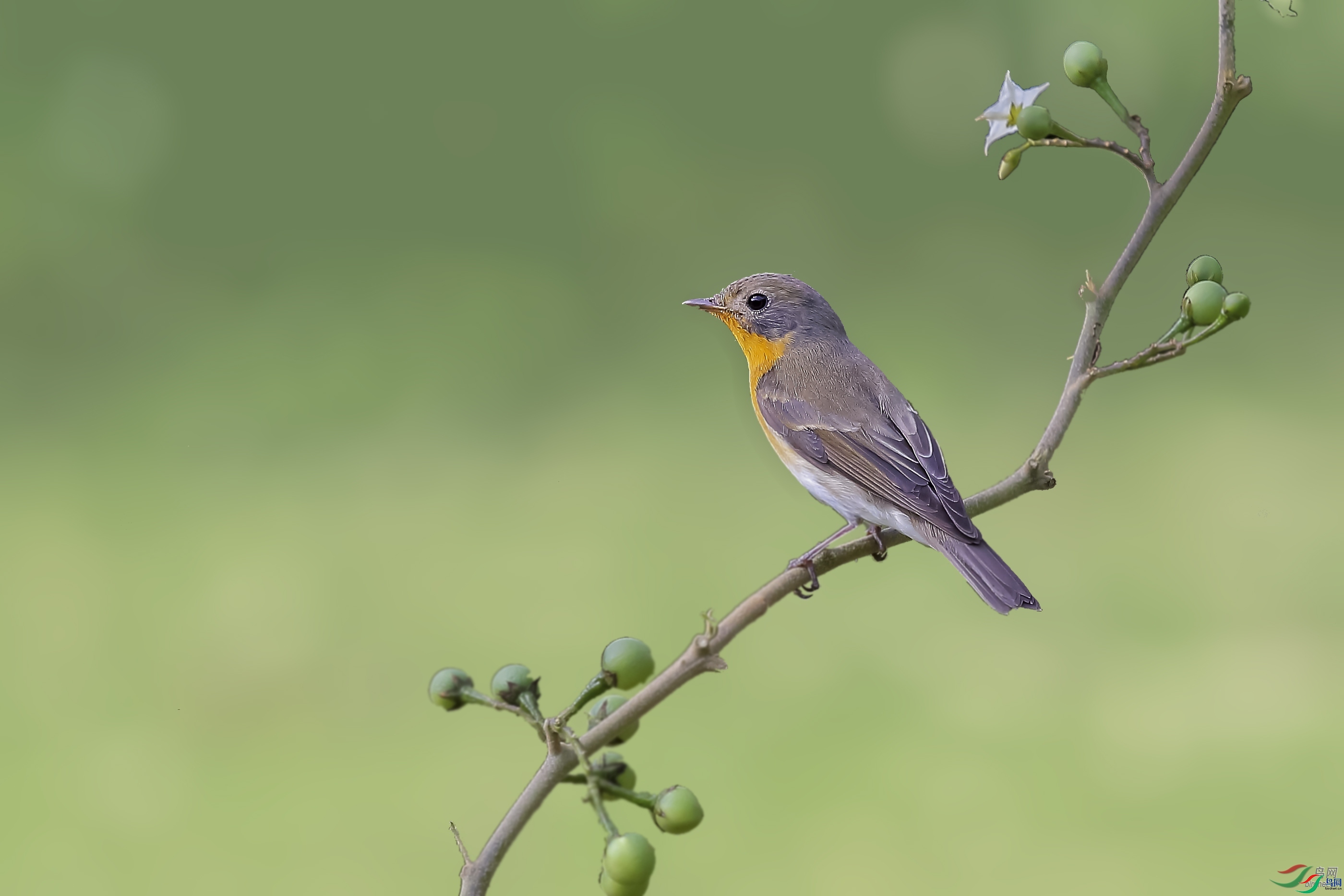 ��Ӱ ��ʦ�����ڹ㶫ʡ������.jpg