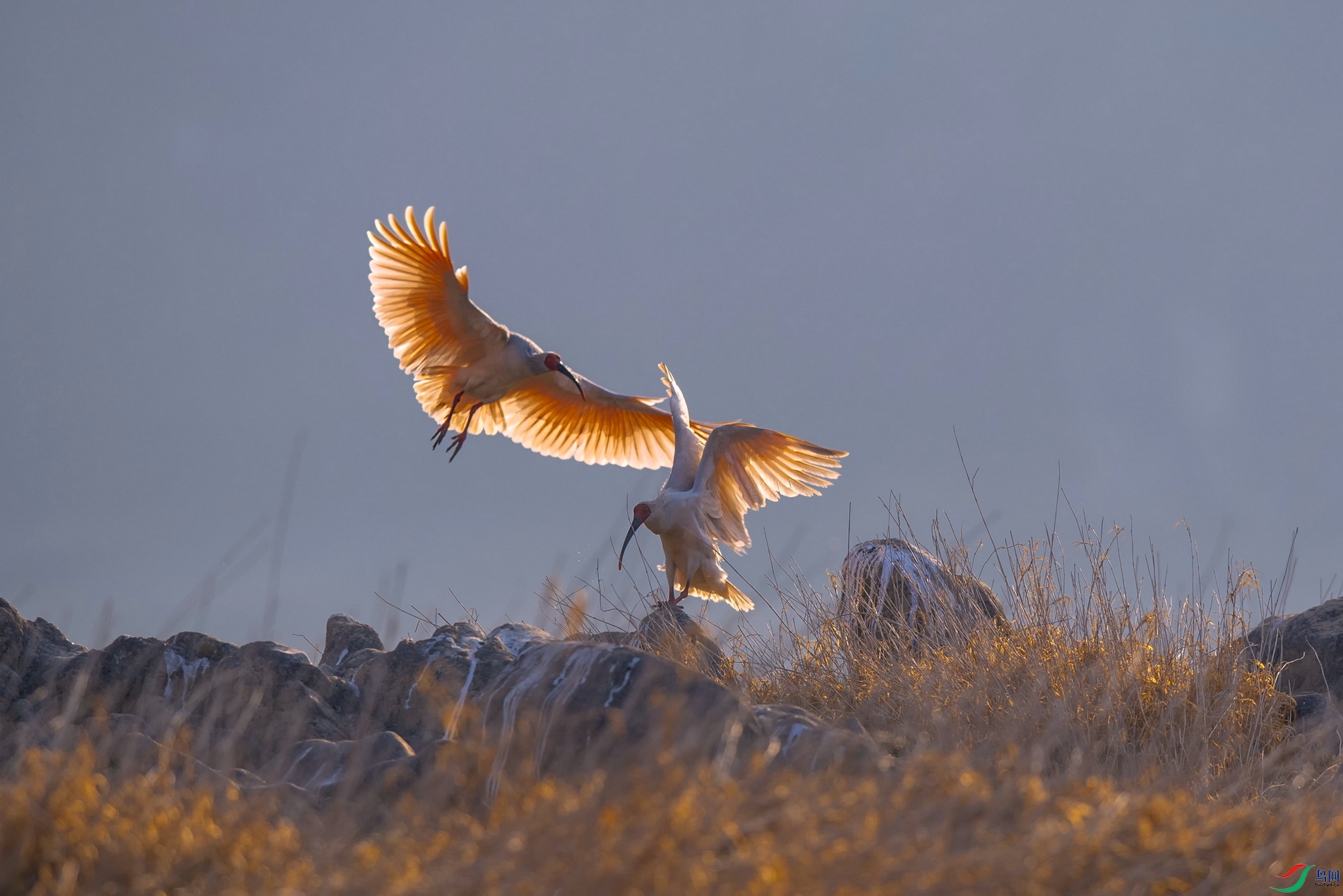 DSC_1004 ����F02.jpg