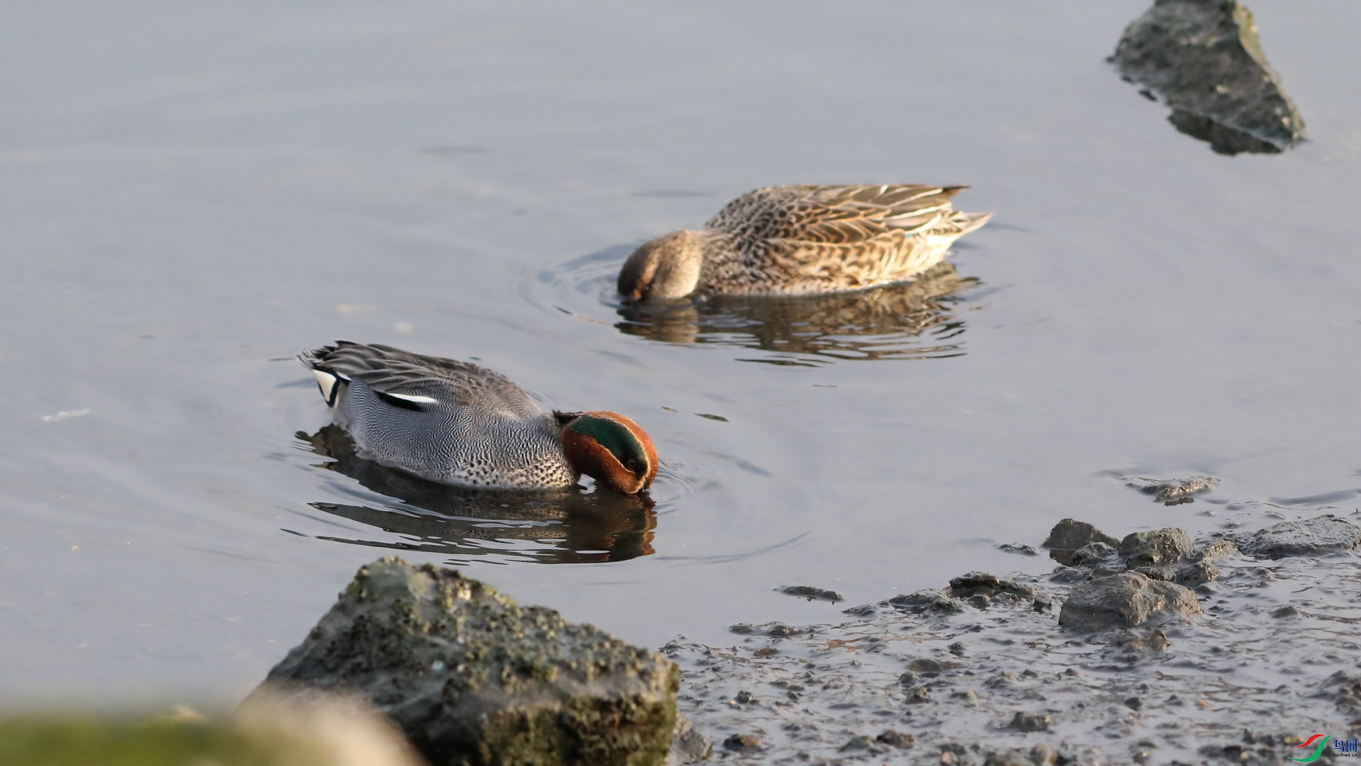 ������������