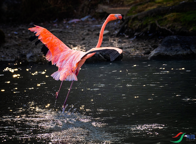 _GZ38258 ���� 2.jpg