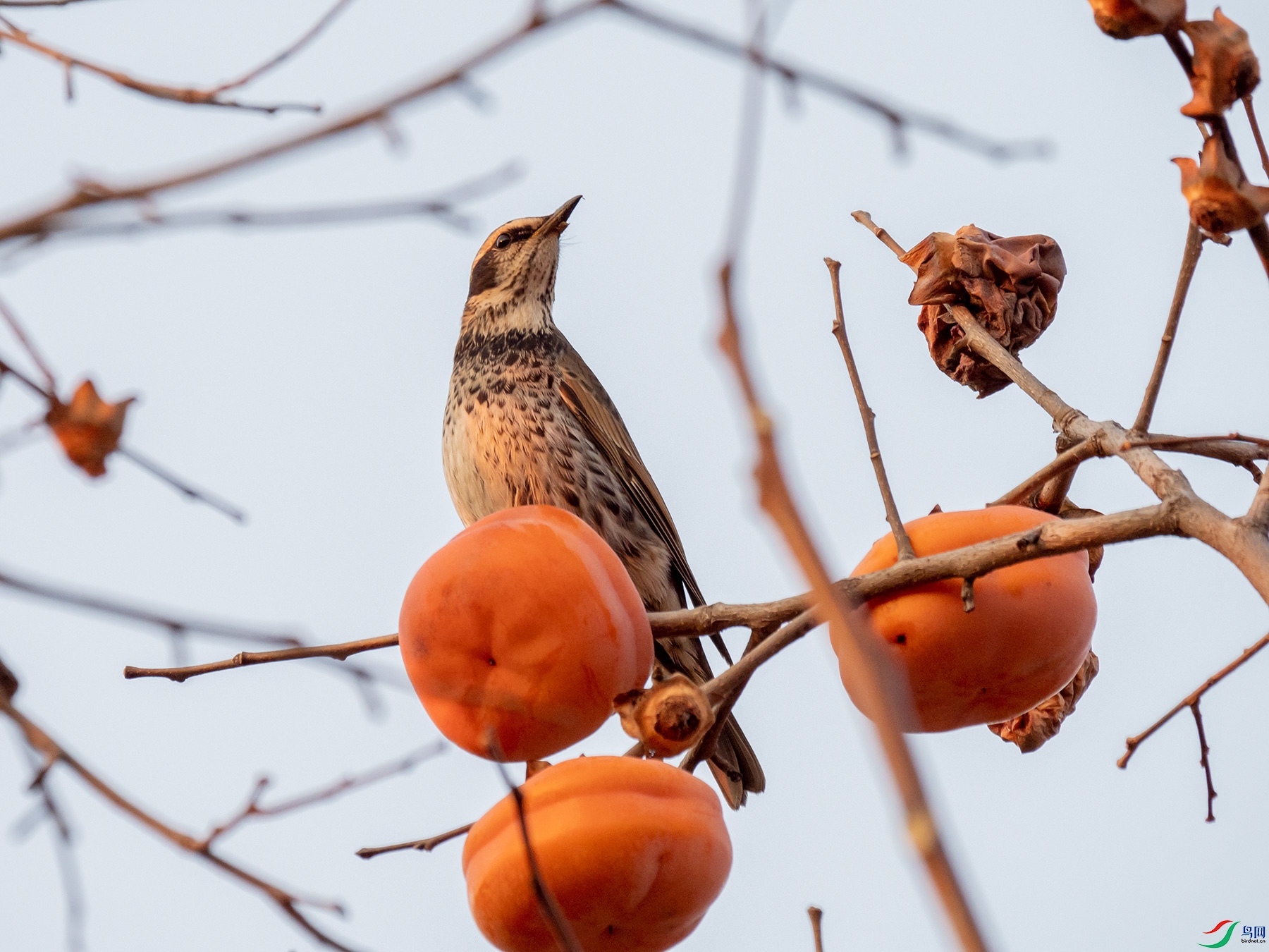 ��ü���ʹ������