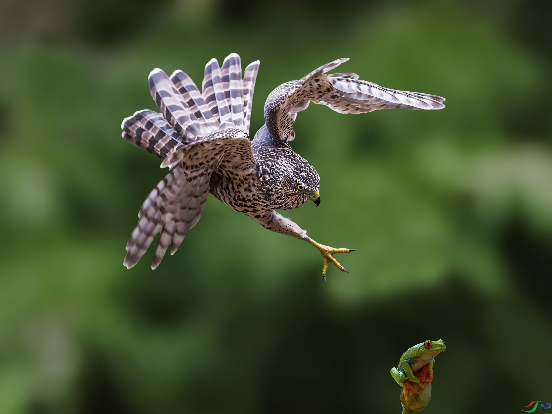 С�� 1920x500k.jpg