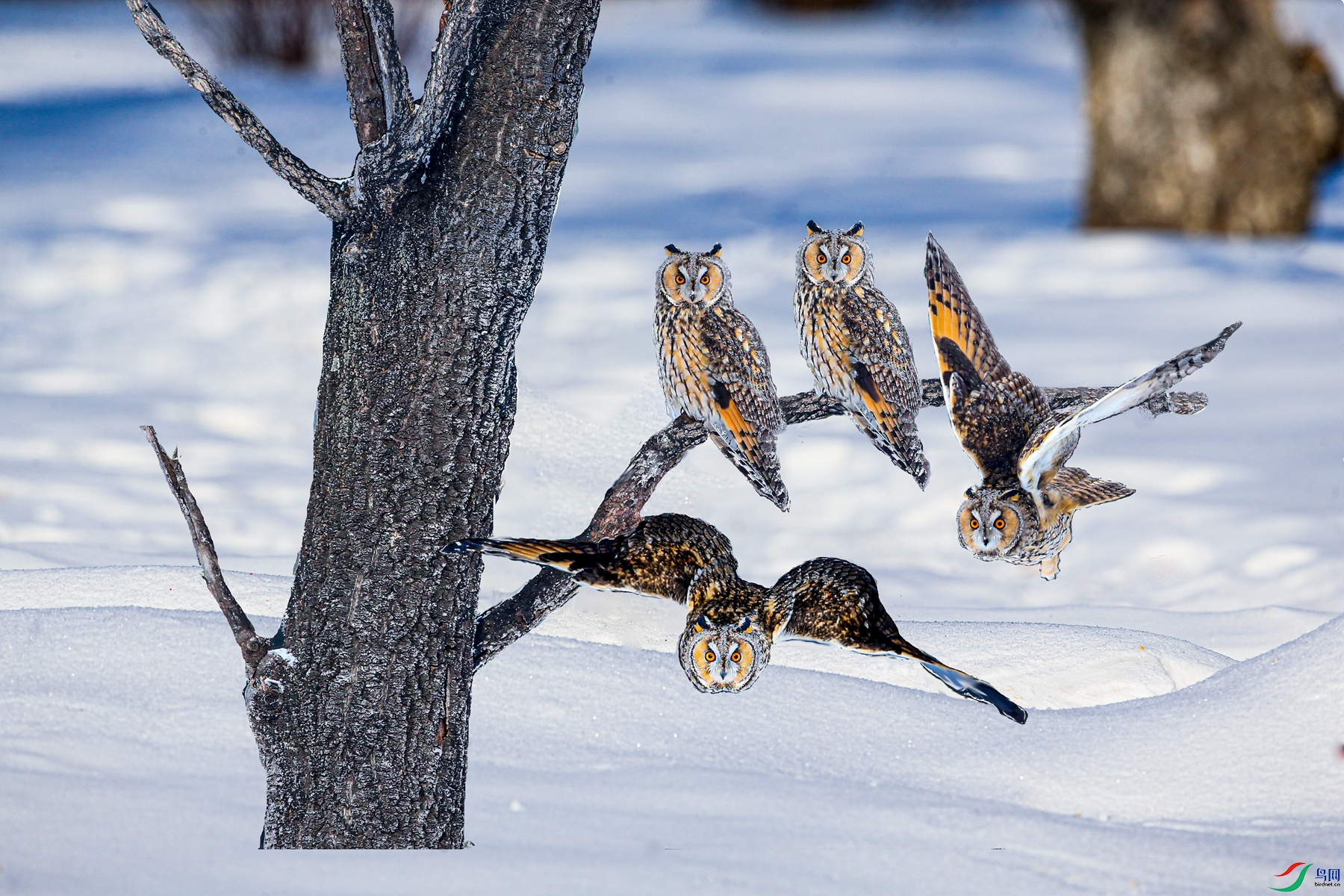 OK2 - ����.jpg