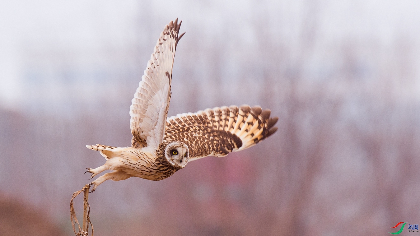 XCG_9059 - ����.jpg