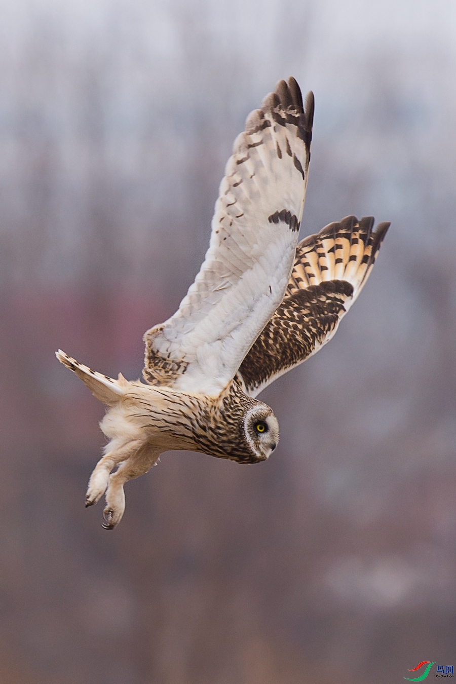 XCG_9061 - ����.jpg