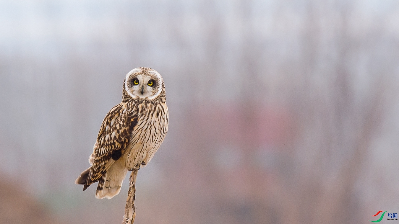 XCG_9007 - ����.jpg