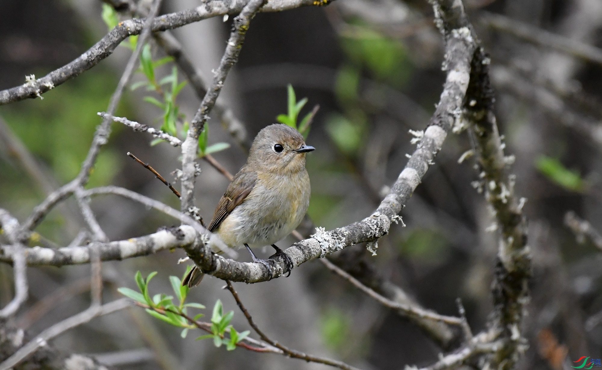 ������  ��ʦ�����ڸ���ʡ���ϲ���������0.jpg