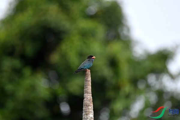 File0000046109 - ����.jpg