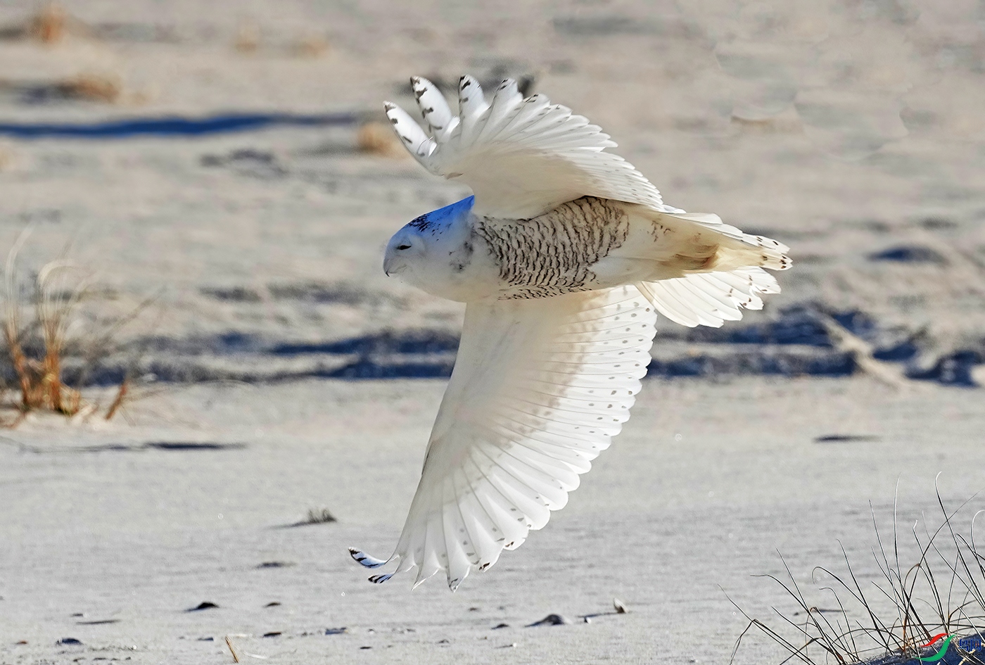 DSD05965----.jpg