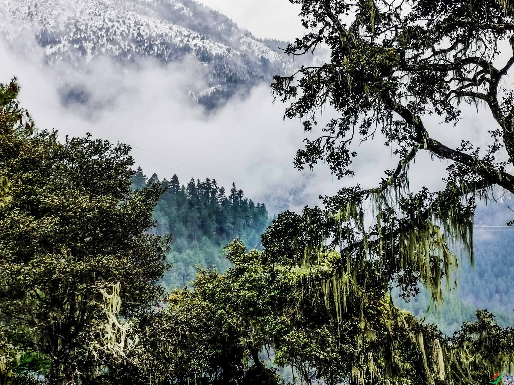 ���ǹ�ͬ�ļ�԰