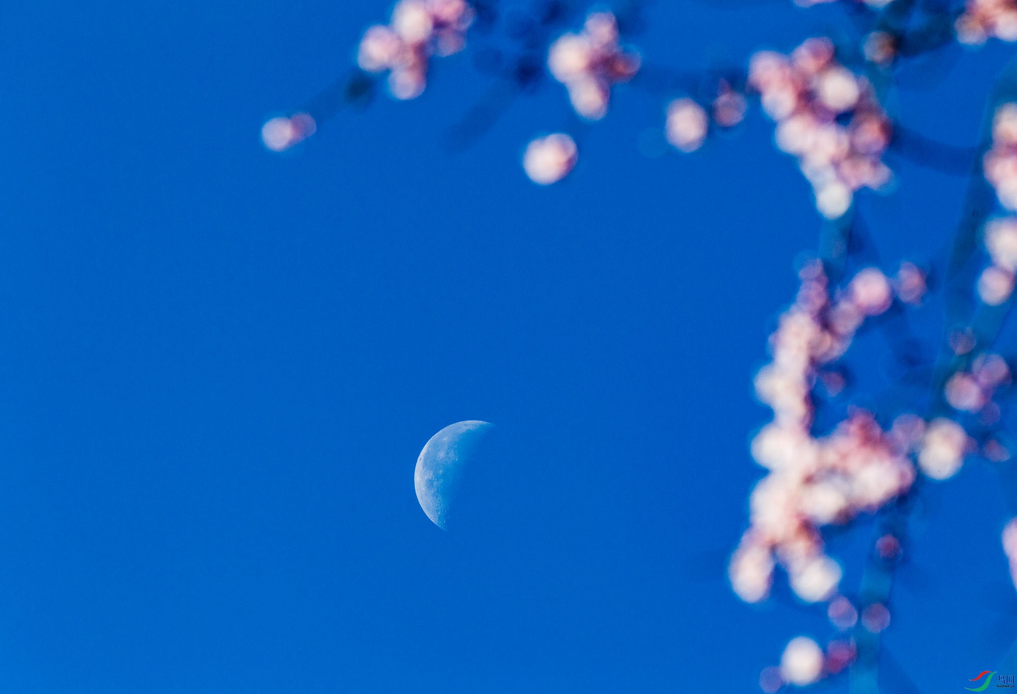 ����ǰҹ�¡�