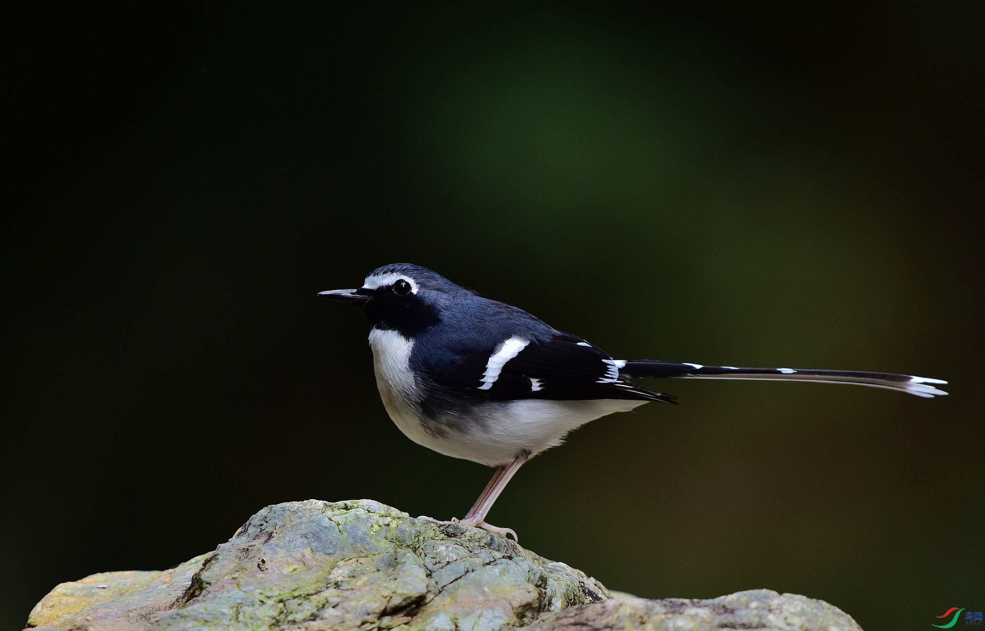 D8I_2565.jpg