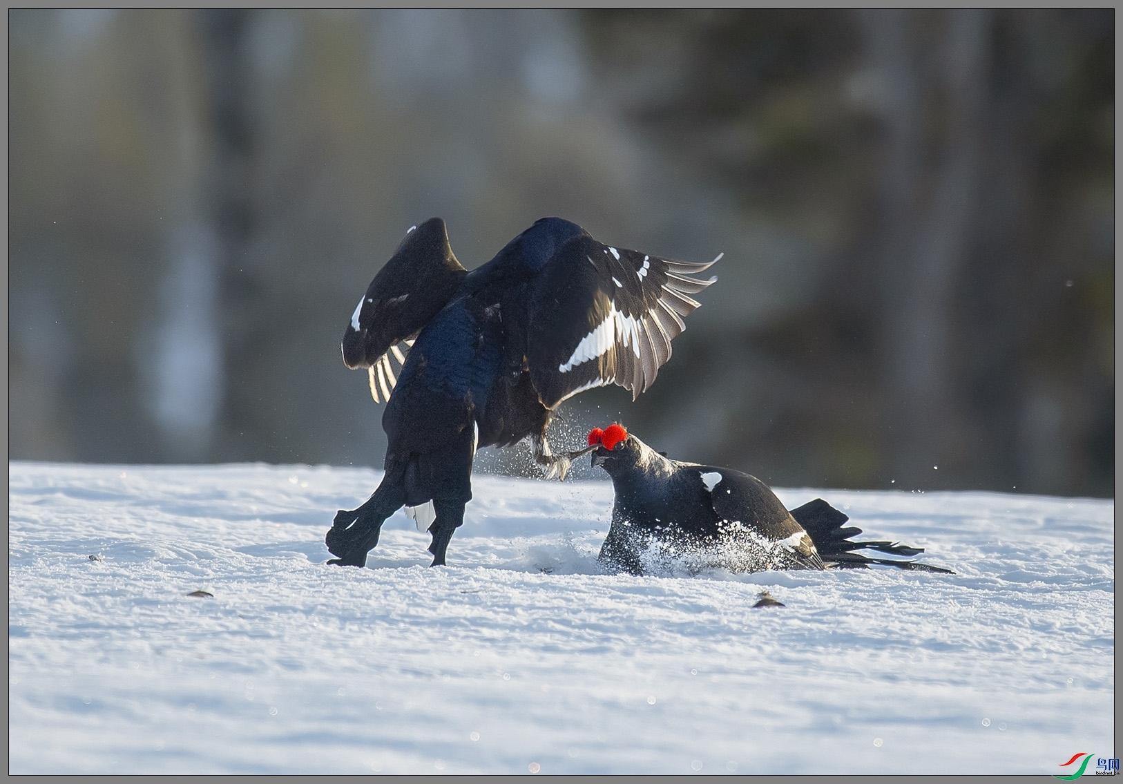 ��DSC_3448.jpg