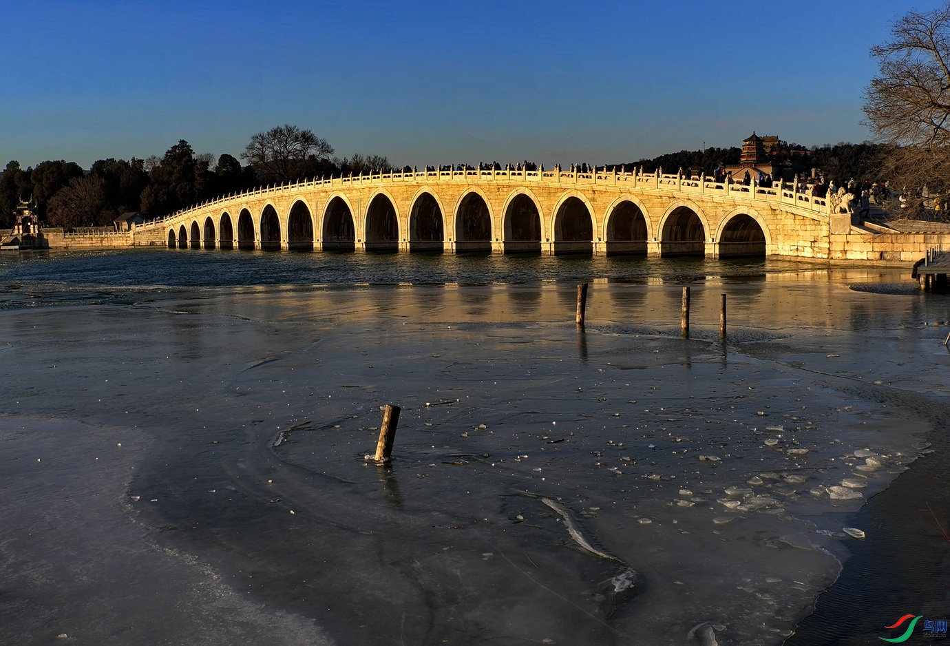 L102250101-1.JPG