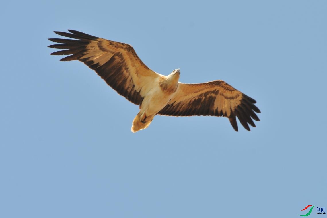 QQ��ͼ20210812102630.jpg