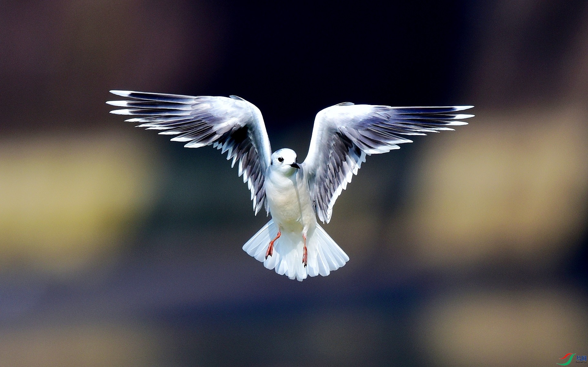 DSC_7893_conew3.jpg