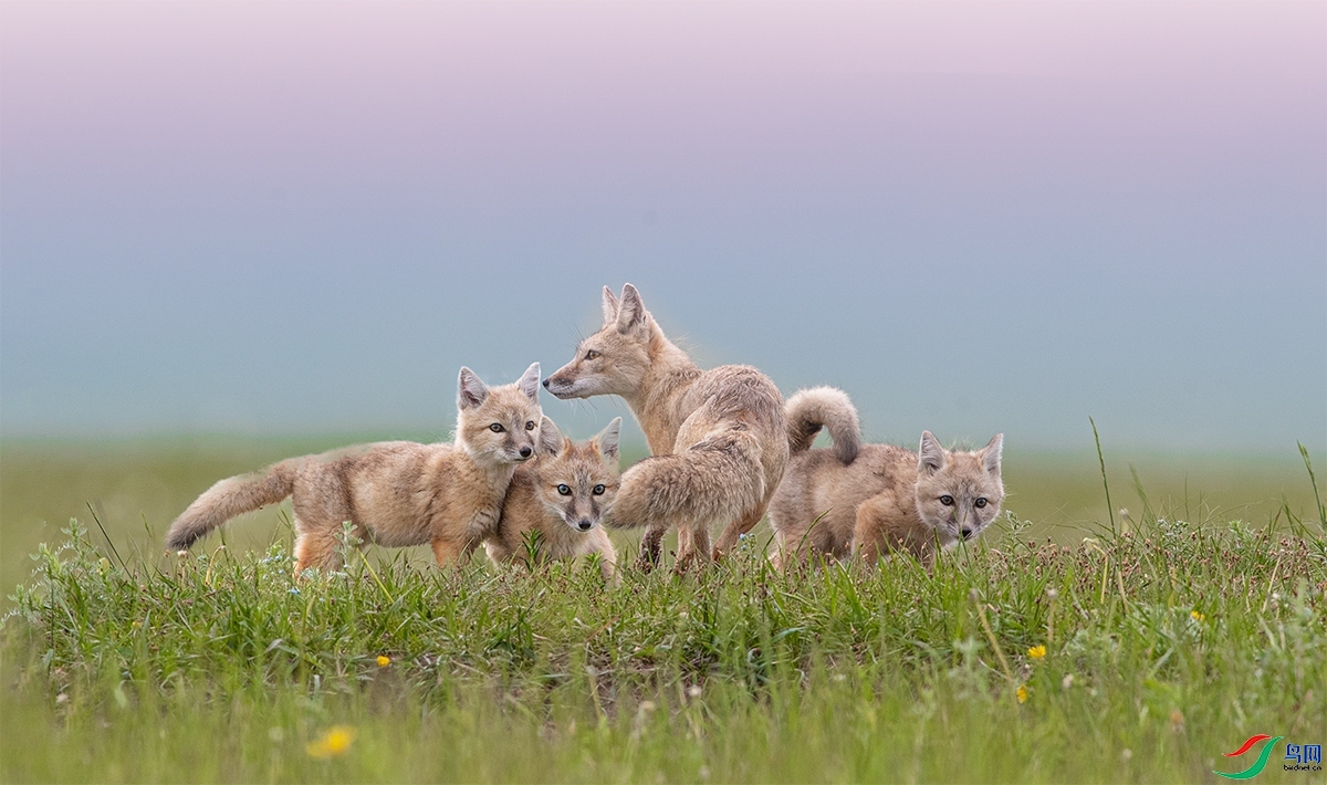 180650zi3g3r8rlkkrk4r3 (1).jpg