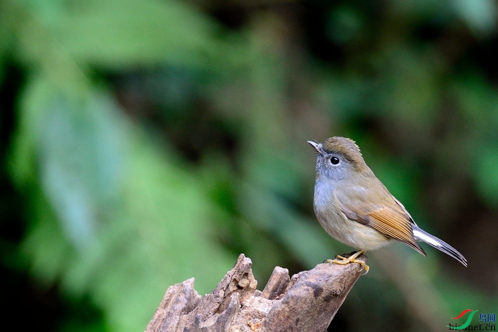 @����  ��ʦ����.jpg