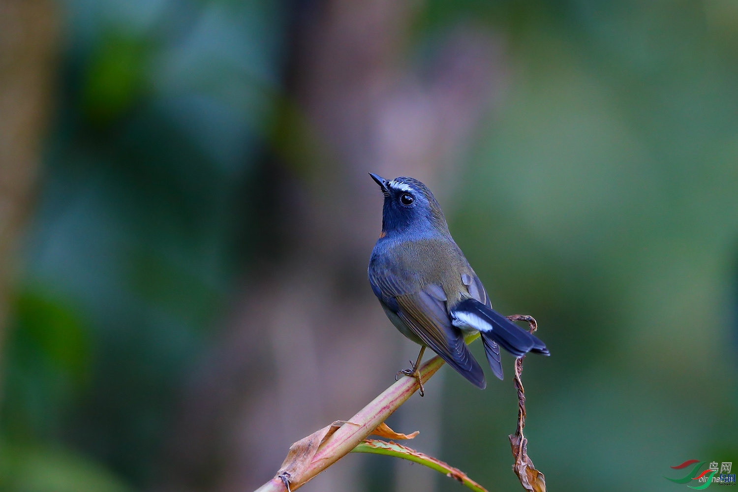 ��������  ��ʦ����������ʡ��ɽ��������.jpg