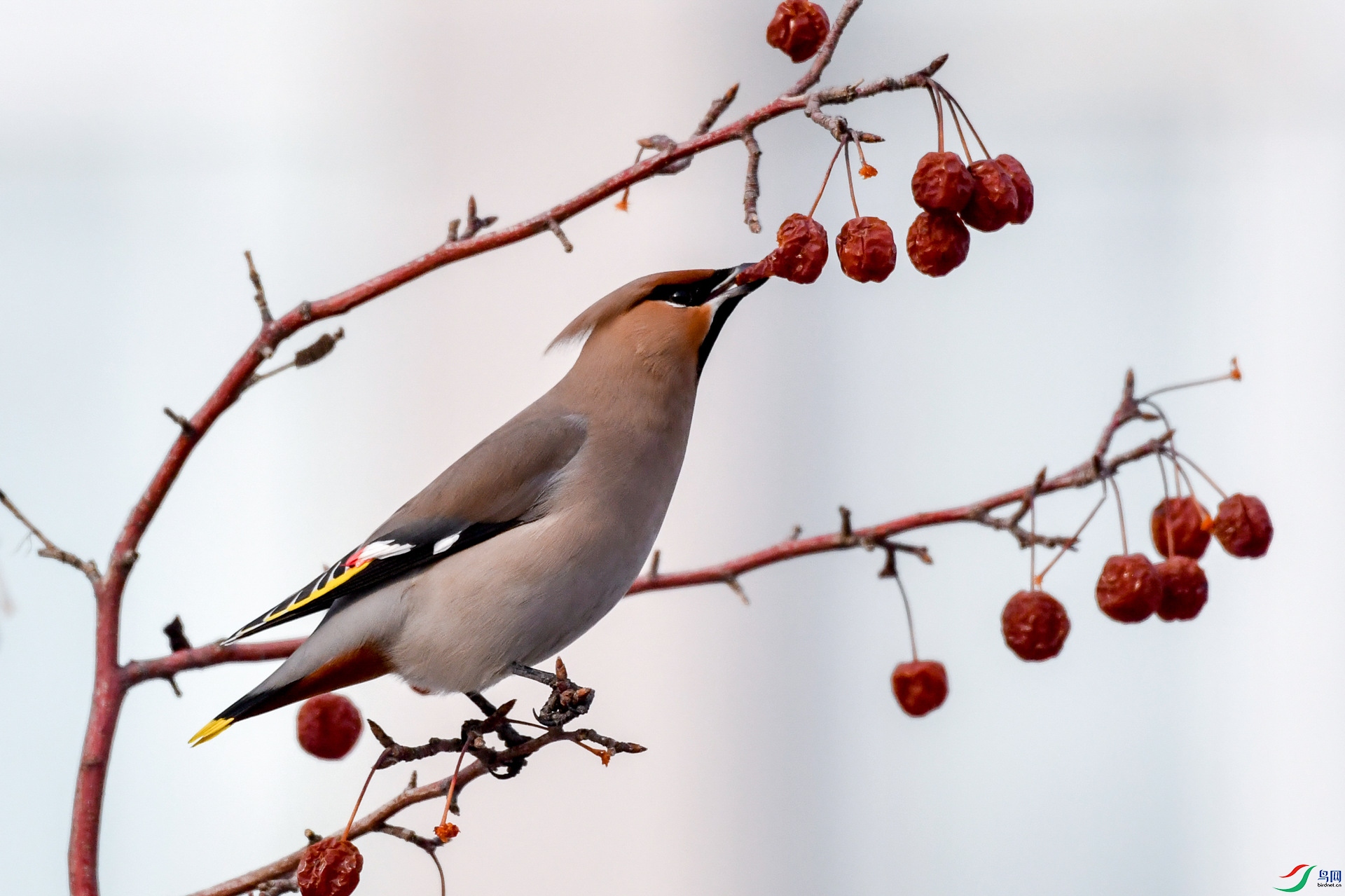 ��һ�������