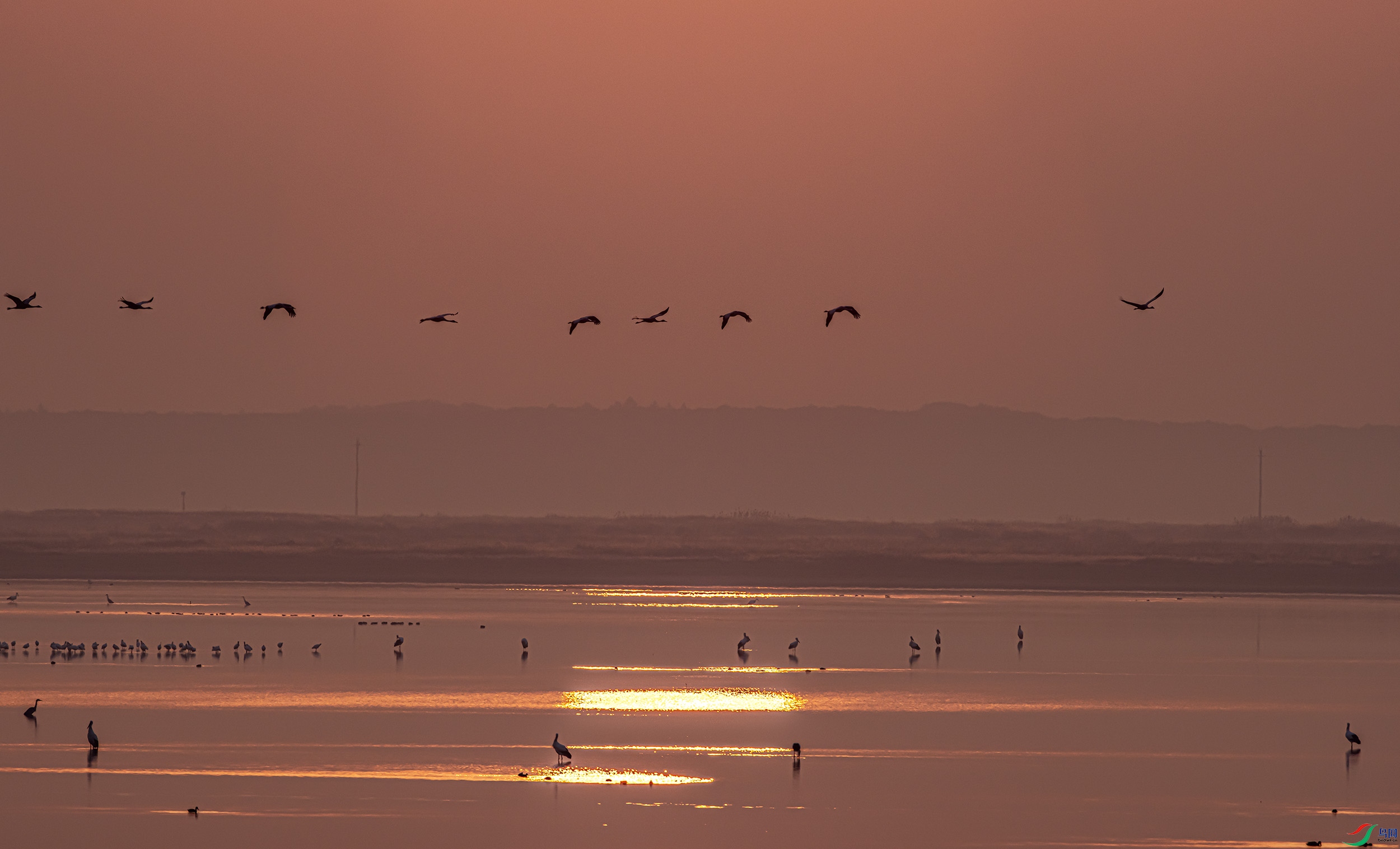 _07A7543----11  .jpg