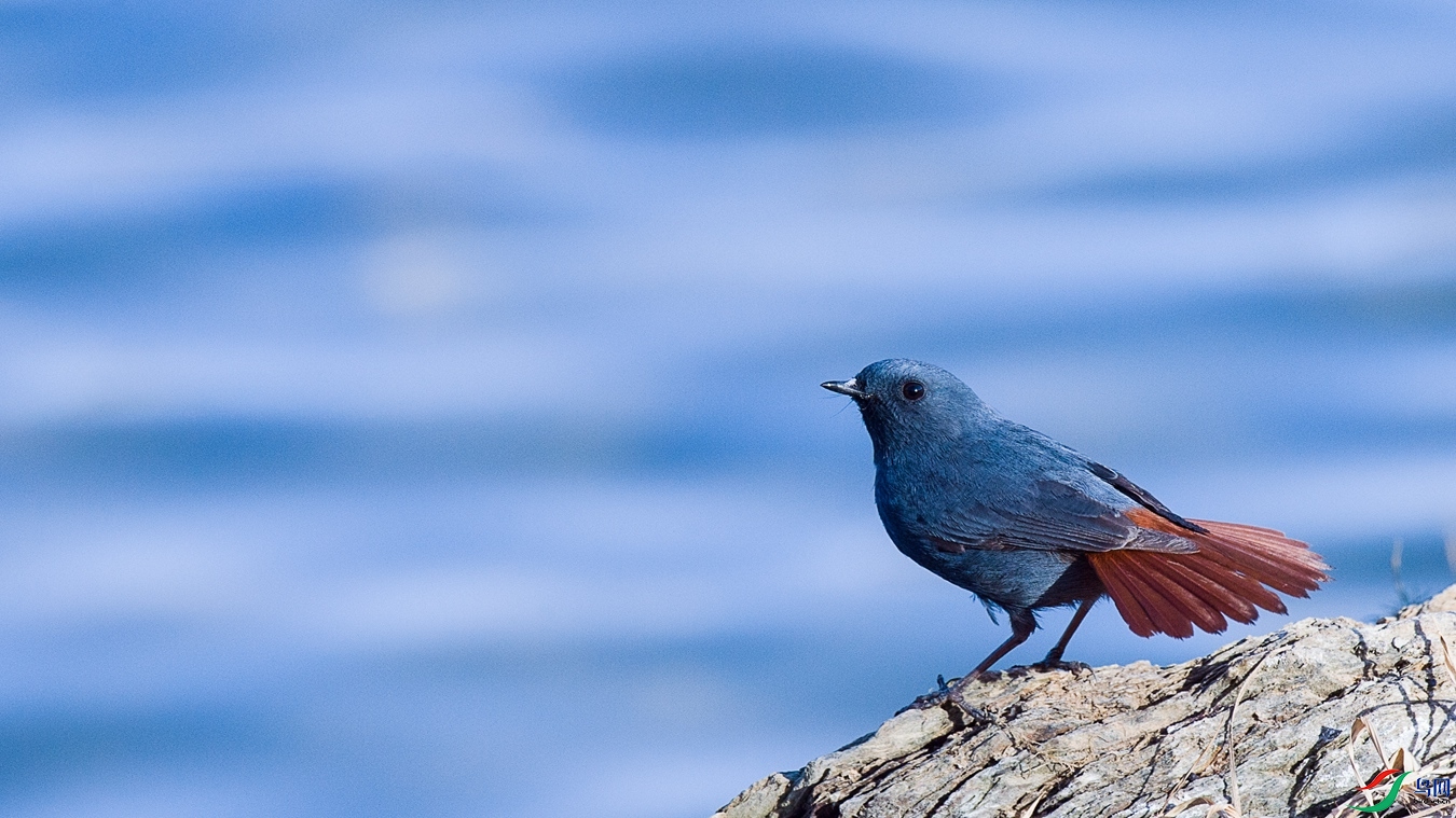 XCG_2906 - ����.jpg