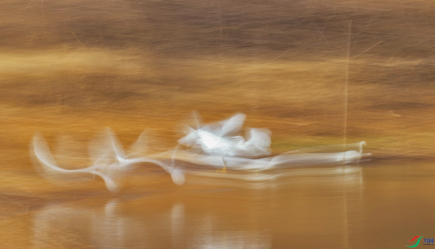 AI8I8948 ���� 2.jpg