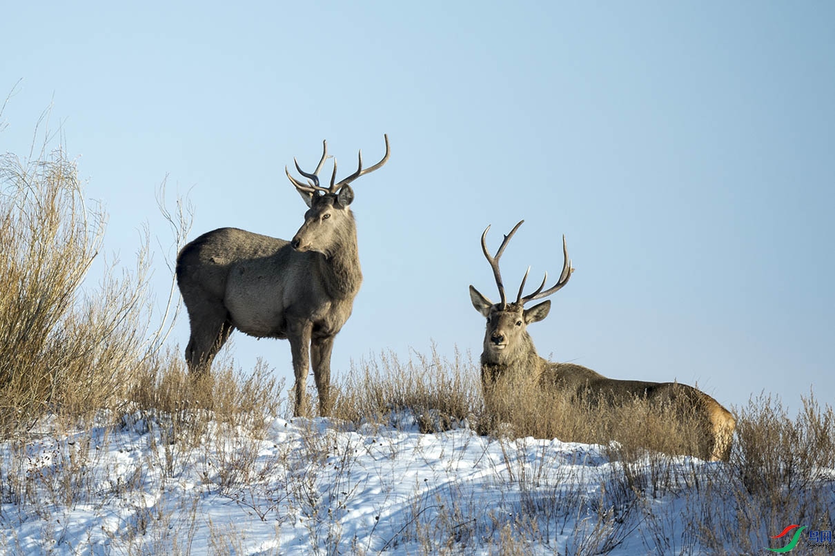 _DSC7683.jpg