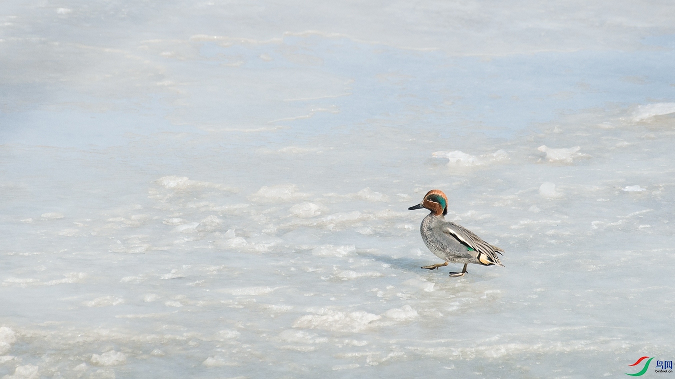 XC5_6342 - ����.jpg