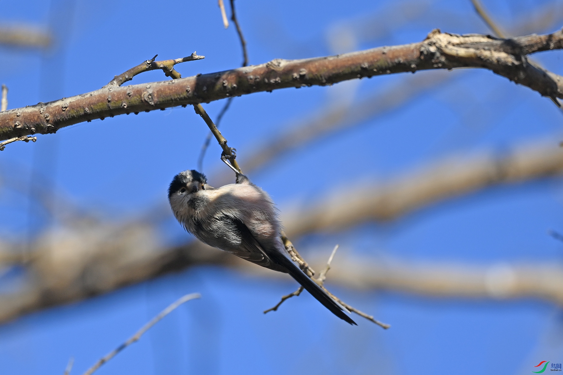 DSC_5541-.jpg