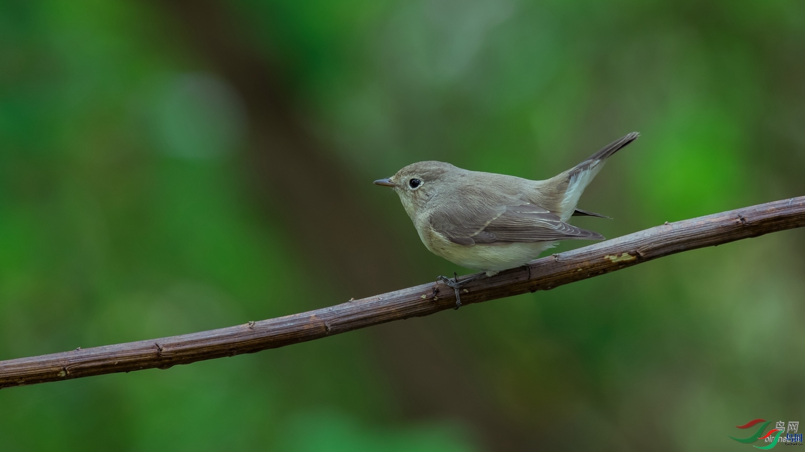 ���꽭��  ��ʦ�������Ϻ���.jpg