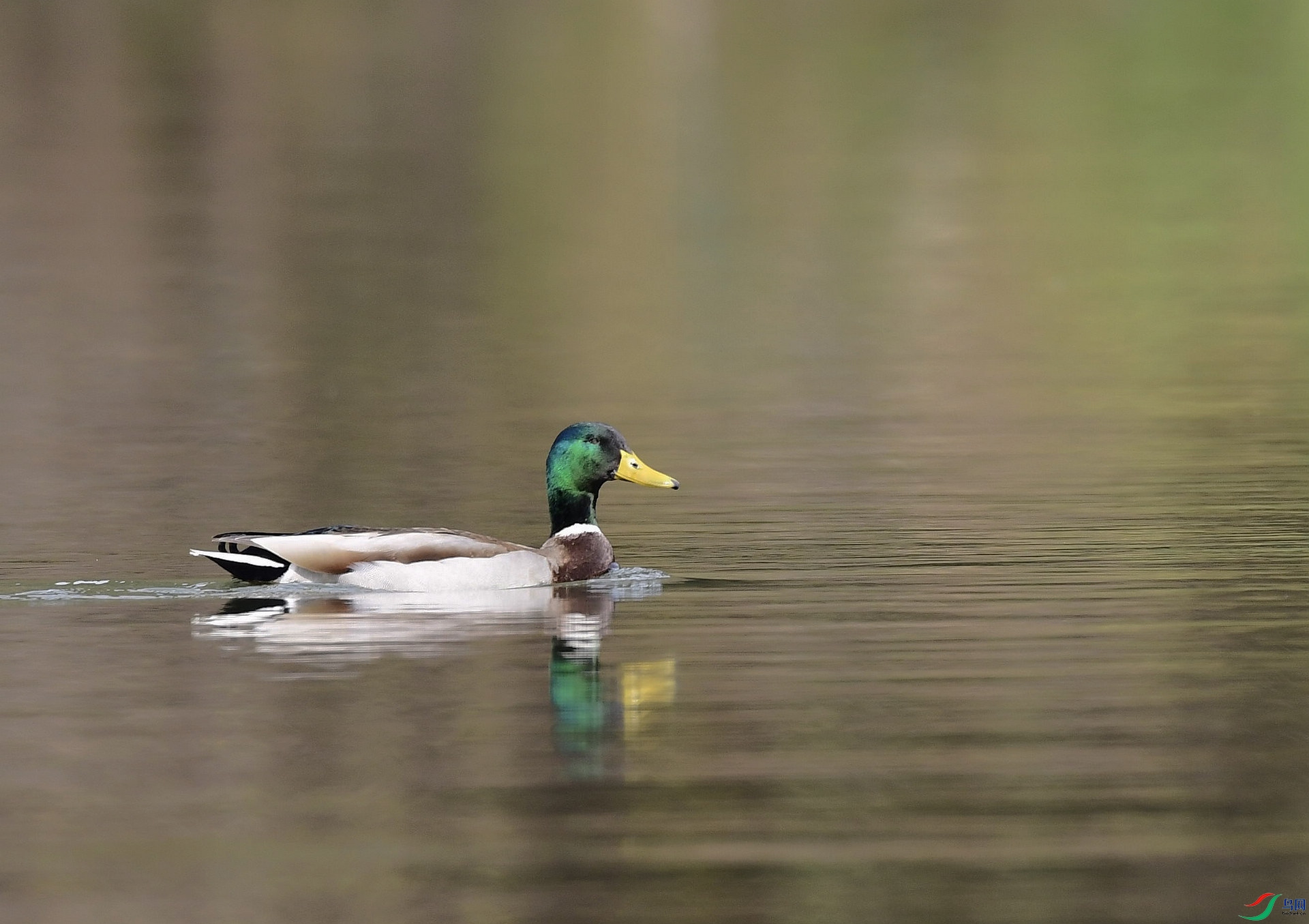 _D5D7484.jpg