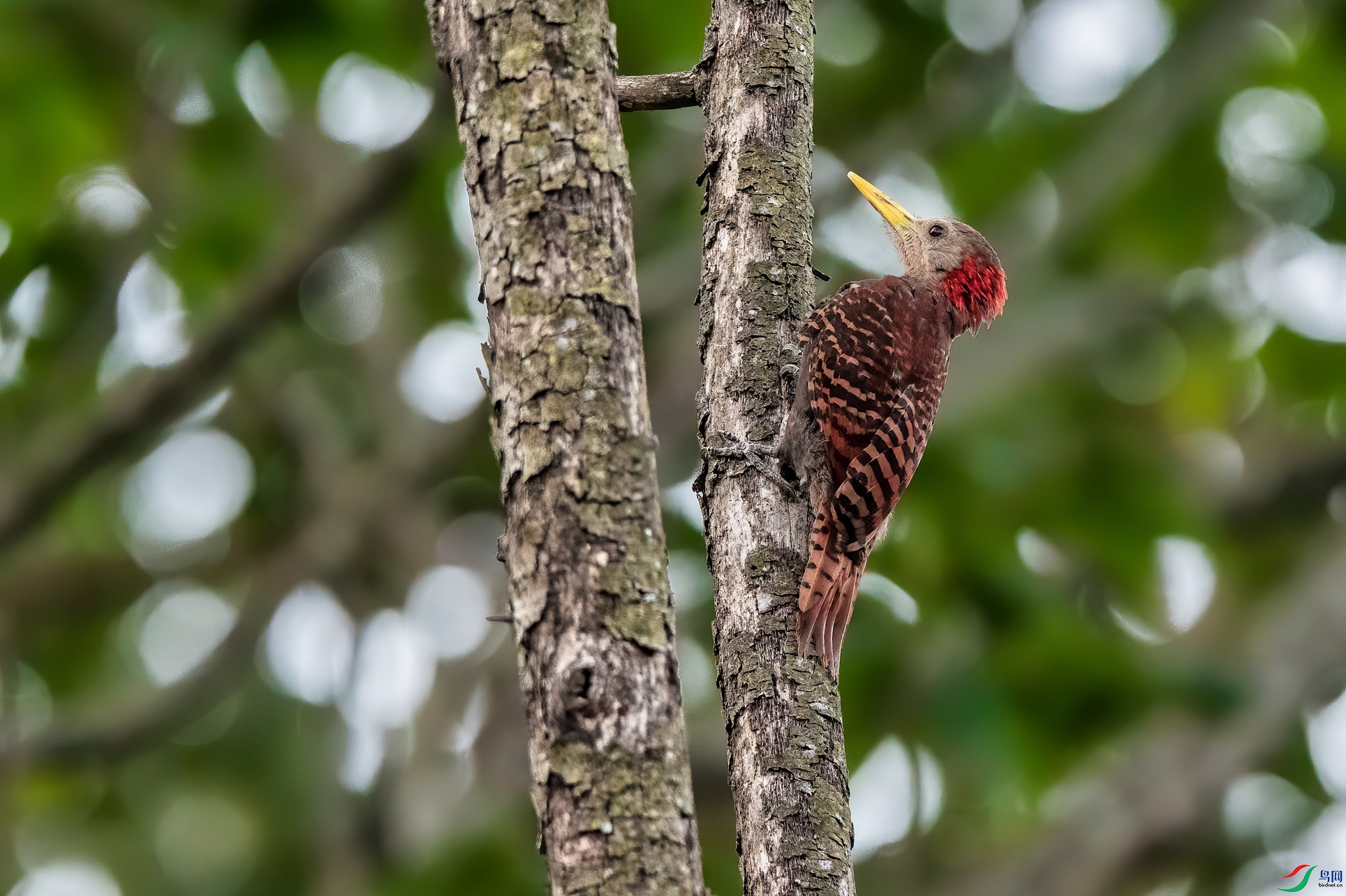 DSC_9110-1.jpg
