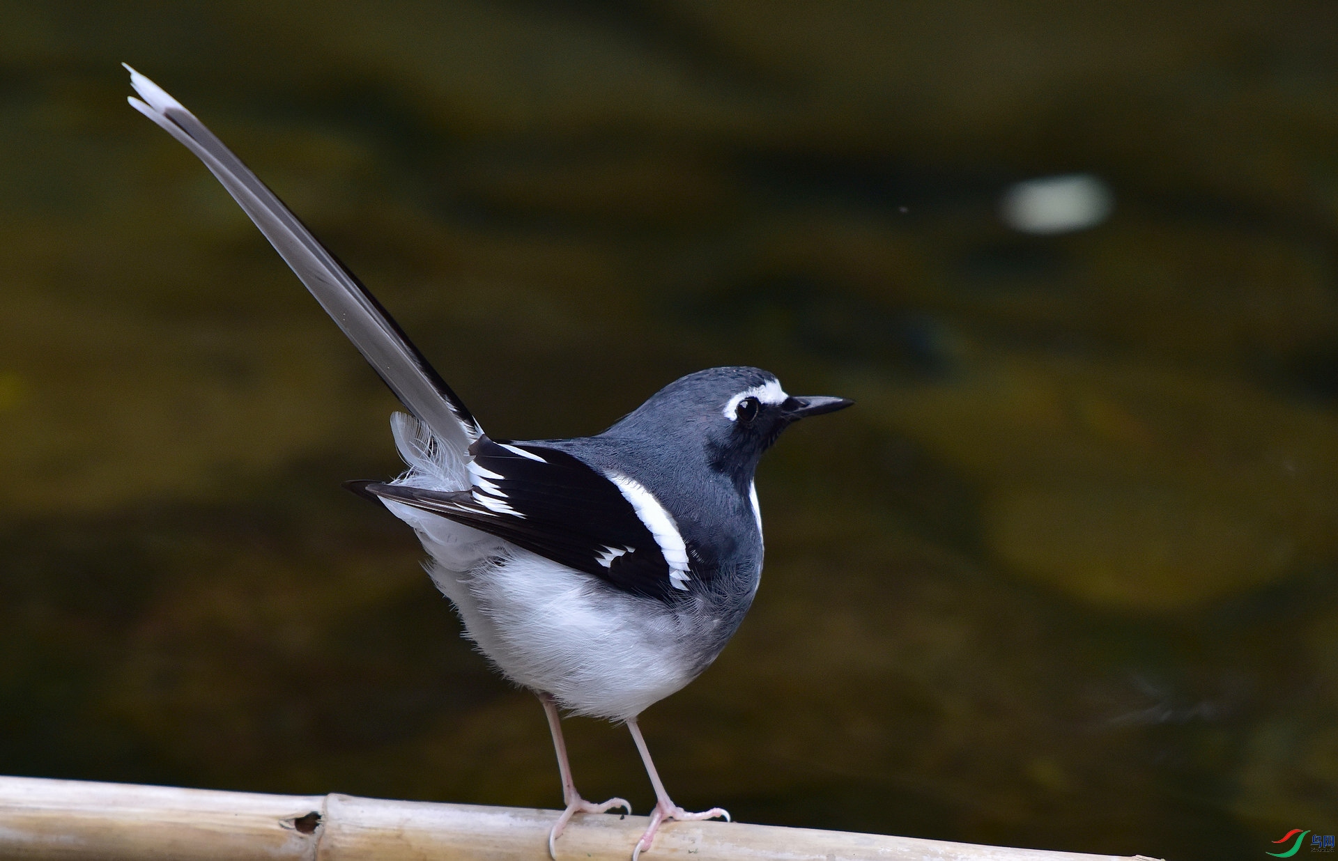 D8I_2663.jpg