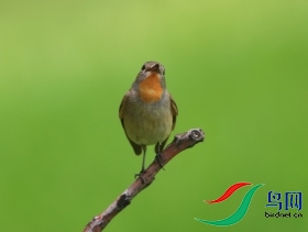 �ǲ�  ��ʦ�����ںӱ�ʡʯ��ׯ��1.jpg