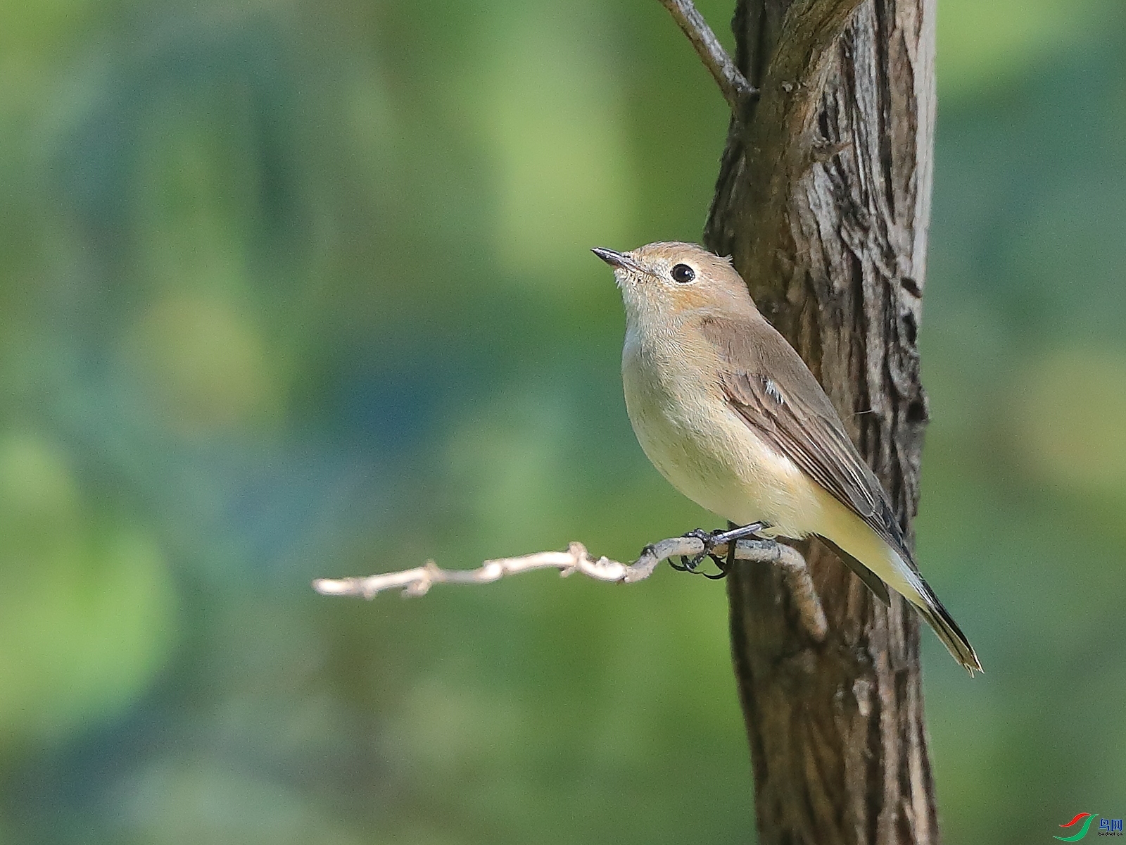 �ǲ�  ��ʦ�����ںӱ�ʡʯ��ׯ��3.jpg