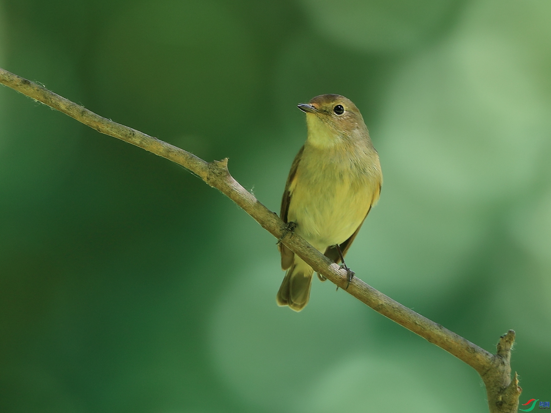 �ǲ�  ��ʦ�����ںӱ�ʡʯ��ׯ��4.jpg