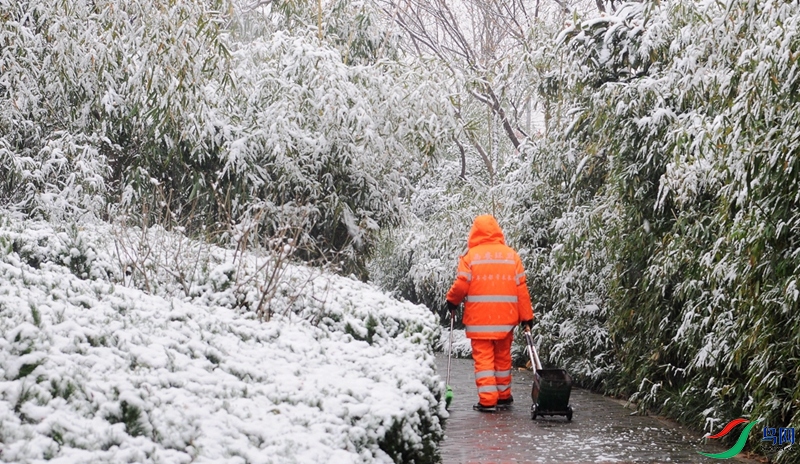 DSC_0340 - ���� - ����.JPG