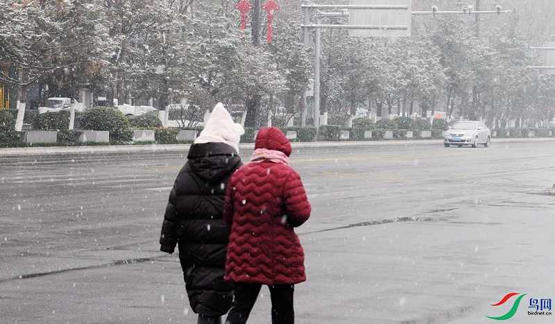 DSC_0380 - ����.JPG